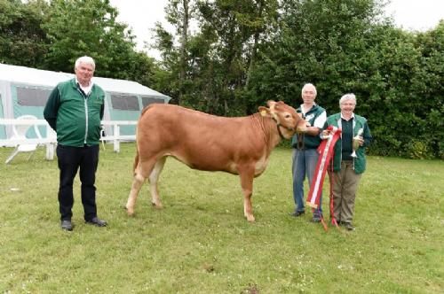Det fynske dyrskue - Halvæble Kristel. 23 point, bedste yngre kvie. 2 plads i Interbreed for hundyr under 18 måneder.