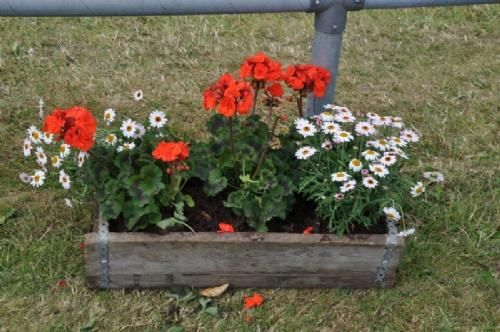 Stemningsbilleder - Slut på Landskuet 2014. Var der mon nogen, der lagde mærke til blomsterdekorationerne?? Fotografen gjorde ;-)
